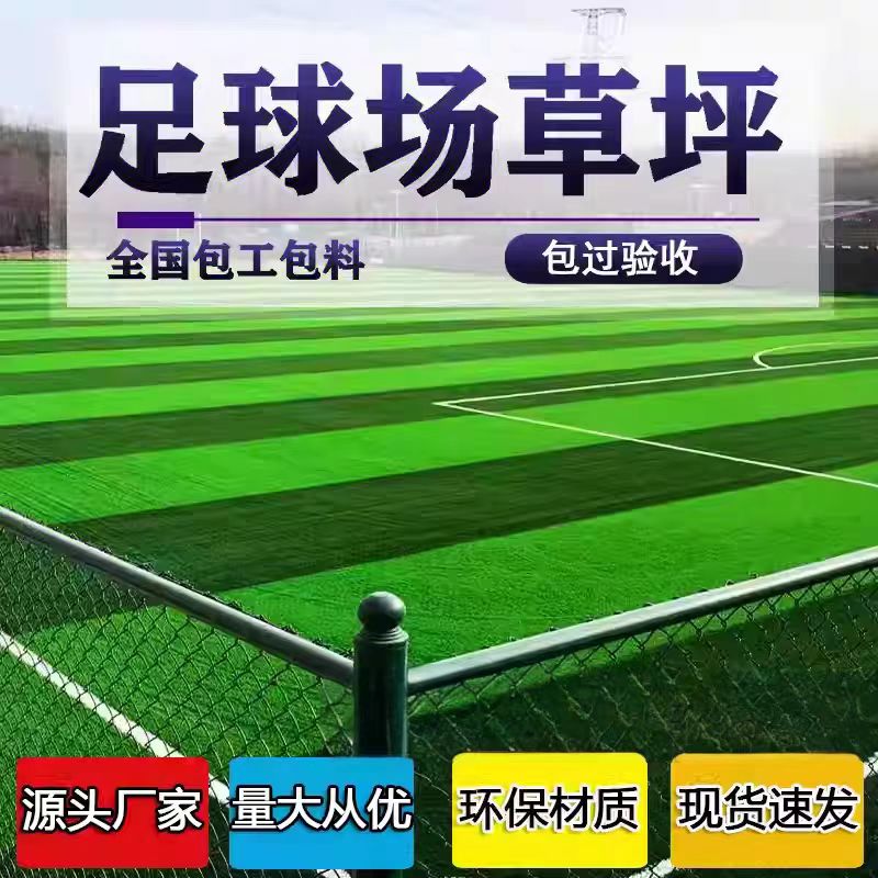 临高县人造草坪橡胶跑道 - 价格